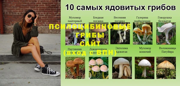 jwh Мегион