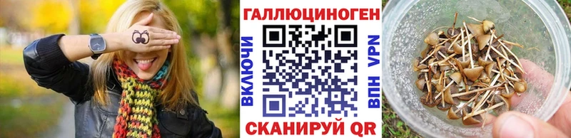Галлюциногенные грибы Magic Shrooms  купить закладку  Ессентукская 